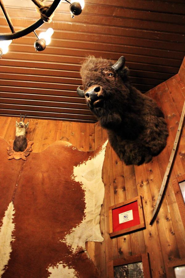 Hotel Cowboys Guest Ranch Voghera Esterno foto